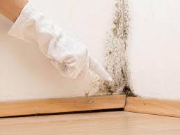 Best Emergency Mold Remediation  in San Juan Bautista, CA